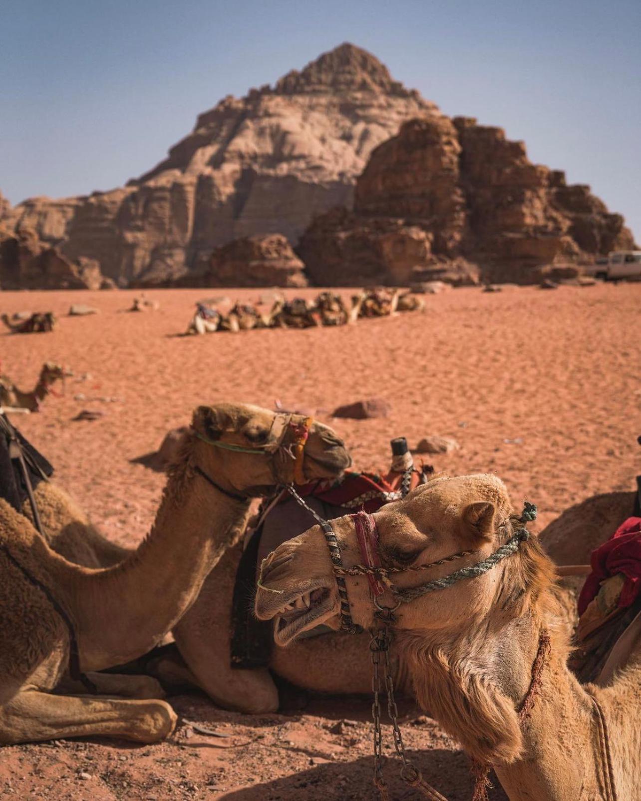 Rum Magic Luxury Camp Wadi Rum Zewnętrze zdjęcie