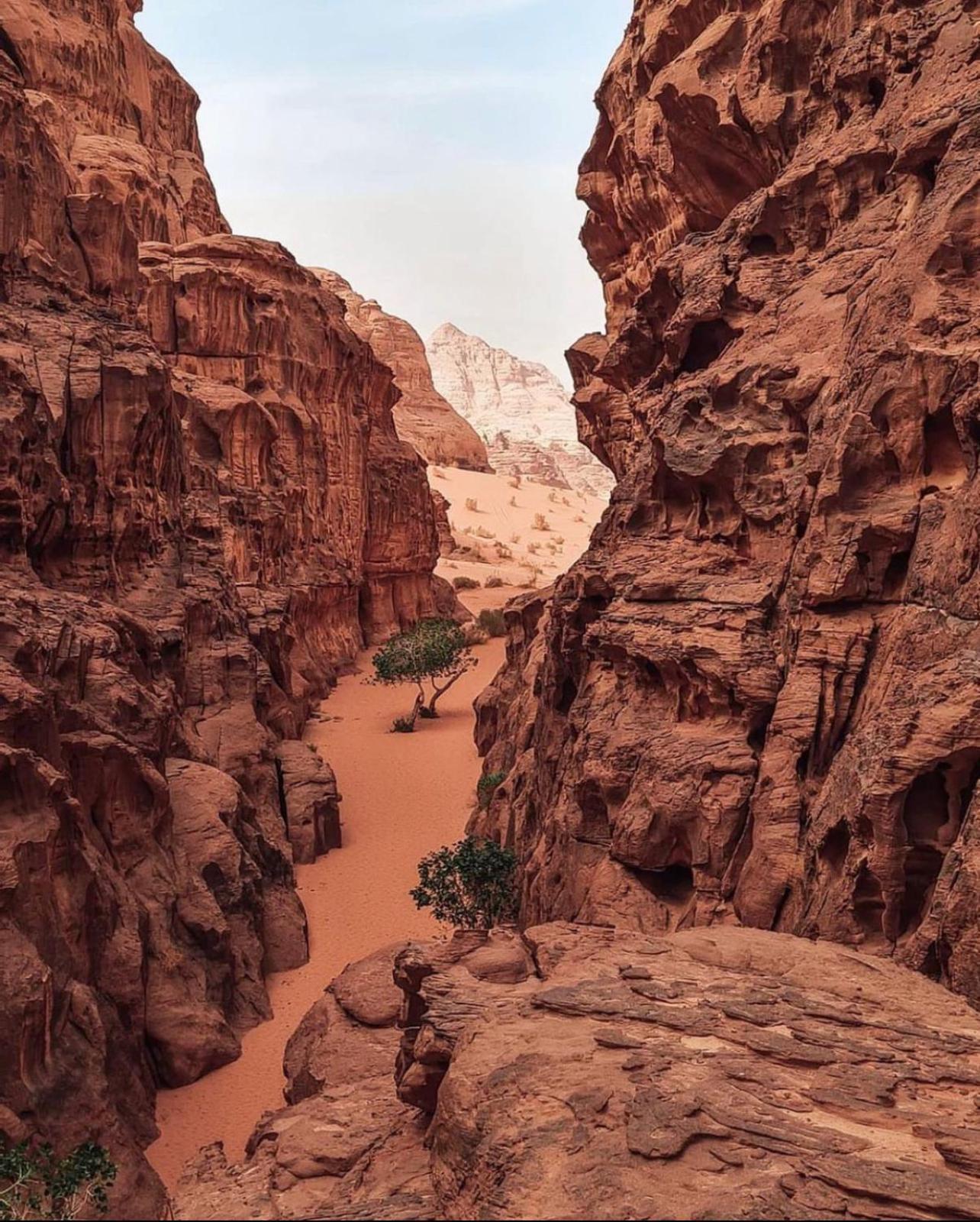 Rum Magic Luxury Camp Wadi Rum Zewnętrze zdjęcie